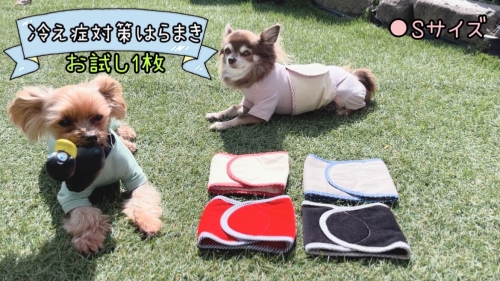 FB158_超小型犬・シニア犬の冷え性対策腹まき☆Sサイズ【お試し1枚】 1209569 - 佐賀県みやき町