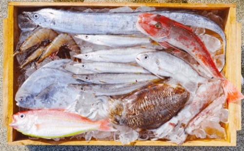 889.漁師の鮮魚箱（約3kg）(A889-2) 1209589 - 和歌山県有田市