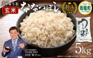 令和5年産 うりゅう米 ななつぼし 玄米  5kg（5kg×1袋）