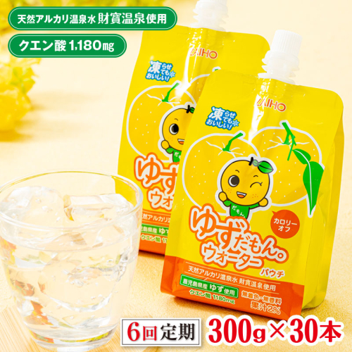 E5-2256／【6回定期】 ゆずドリンク 300g×30本 パウチ ゆずだもん。ウォーター 1210263 - 鹿児島県垂水市