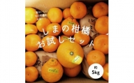 【瀬戸内・因島産】季節の柑橘セット約5kg