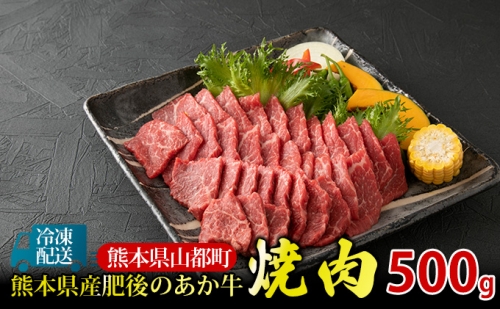 肥後の赤牛  焼肉 用 500gG-4 121062 - 熊本県山都町