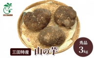 三田特産 山の芋　秀品3kg [№5337-0270]