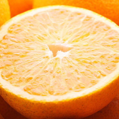 ＜4月より発送＞厳選 樹上完熟はっさく2.5kg+250g（傷み補償分）【有田の春みかん・五月八朔・さつきはっさく・木生りはっさく・きなりはっさく】【光センサー選別】 1210777 - 和歌山県美浜町