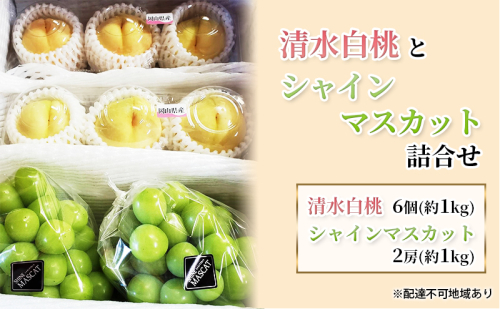 【2025年先行予約】桃 ぶどう 岡山県産 清水白桃（6個・約1kg）と シャインマスカット （2房・約1kg） 詰合せ セット 《2025年7月下旬-8月中旬頃出荷》 もも モモ 葡萄 ブドウ フルーツ 果物 数量限定 1210824 - 岡山県里庄町