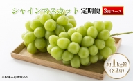 ぶどう 2024年 先行予約 シャインマスカット 1kg箱（各2房） 定期便 3回 葡萄 ブドウ 岡山県産 フルーツ 果物