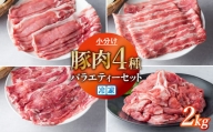 豚肉 小分け 真空パック 冷凍 スライス肉 4種 バラエティーセット 2kg (250g×8袋)  炒め物/焼肉用(厚さ3mm)  笑子豚 エコブー