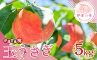 福島県産 玉うさぎ 5kg 2024年8月下旬～2024年9月上旬発送 先行予約 予約 新品種 たまうさぎ 固め 伊達の桃 桃 もも モモ 果物 くだもの フルーツ 国産 食品 F20C-834