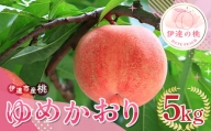 福島の桃 ゆめかおり５kg （10～18玉） 伊達市産桃 先行予約 フルーツ 果物 もも モモ momo F20C-838