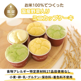 食物アレルギー特定原材料27品目（豆乳使用）を一切持ち込まない米粉専用工場にて、お米を自社製粉し製造しています。食物アレルギーをお持ちの方も安心してお召し上がりいただけます。 ■原材料 【ミニカップケ
