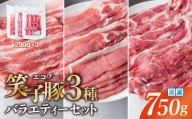 【お試し】豚肉 小分け 真空パック 冷凍 スライス肉 3種 バラエティーセット 750g (250g×3袋)  炒め物/焼肉用(厚さ3mm)  笑子豚 エコブー