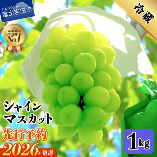 【2026年先行予約】山梨県産 シャインマスカット約1kg（2～3房） 121128 - 山梨県富士吉田市