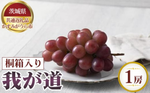 No.624 【先行予約】我が道　桐箱入り1房【茨城県共通返礼品 かすみがうら市】 ／ 果物 葡萄 ぶどう 茨城県 1211435 - 茨城県坂東市