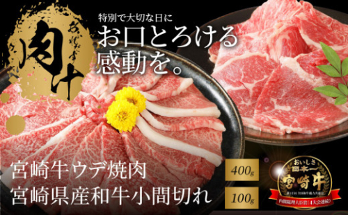 宮崎牛 ウデ焼肉400ｇ　宮崎県産和牛小間切れ100ｇ  K18_0025_7 1211928 - 宮崎県木城町