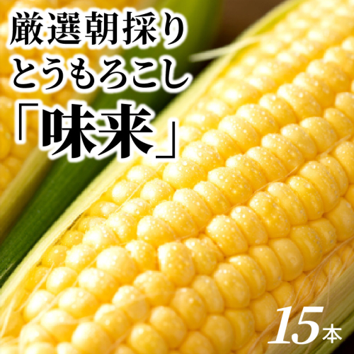 厳選朝採り とうもろこし(スイートコーン)「味来」 15本 甘い 柔らかい 安心 安全 新鮮 早朝収穫 野菜 夏野菜 大容量　H017-092 121197 - 愛知県碧南市