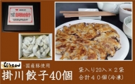 １９６３　掛川餃子・餃子袋20入×２袋　計40個　ひょうたん