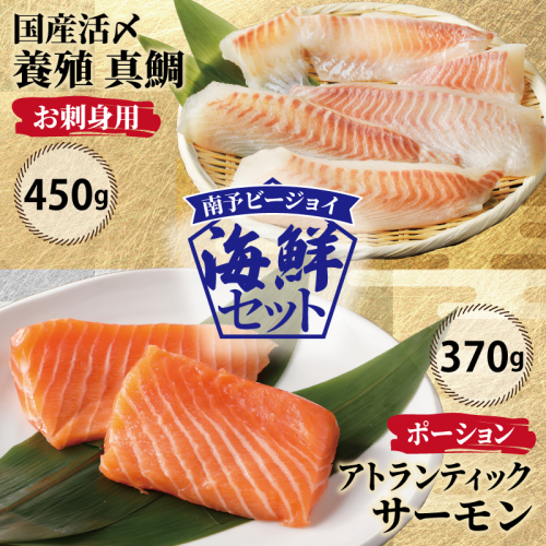【南予ビージョイ】サーモン＆国産活〆 真鯛  お刺身セット【小分け 訳あり サイズ不揃い 刺身 海鮮丼 人気 オススメ 冷凍】 nbj0004
 1212354 - 大阪府泉佐野市