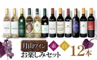 月山ワイン　赤・白ワイン12本　お楽しみセット　H96-201