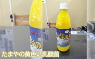No.097 たまやの黄色い乳酸菌　500ml ／ 液体エサ 冬用 ビタミンB群 東京都