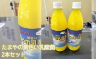 No.100 たまやの黄色い乳酸菌　500ml　2本セット ／ 液体エサ 冬用 ビタミンB群 東京都