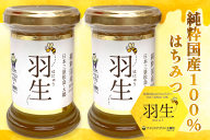 アイリスアグリ 純粋国産100%はちみつ (大郷町産) 羽生 110g×2本｜宮城県 大郷町 はにゅう ハチミツ 蜂蜜 [0159]