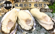 牡蠣 生食用 坂越かき 殻付き 16～18個[ 生牡蠣 真牡蠣 かき カキ 冬牡蠣 ]