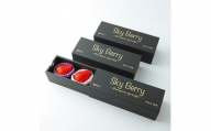 Sky Berry 3piece 3粒入り×3箱