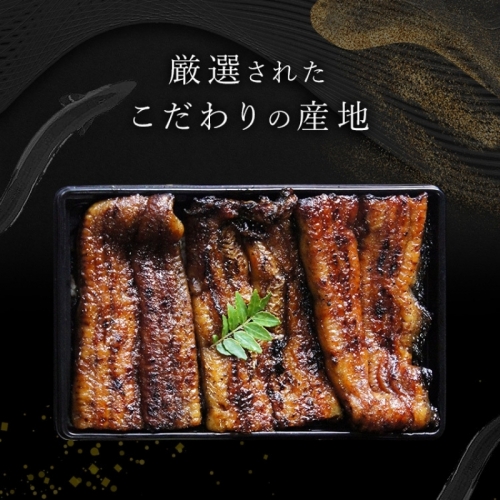 鰻蒲焼重箱「特上」2個セット 山椒・漬物付き　ギフト ウナギ 鰻 蒲焼 国産 国内産 プレゼント 誕生日 お歳暮 上田市 コシヒカリ グルメ 贅沢