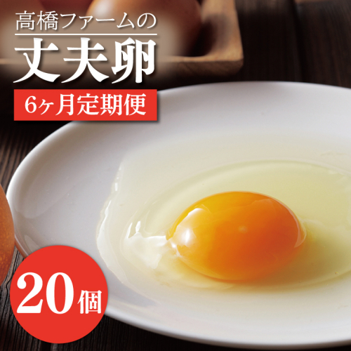 AQ009　【6ヶ月定期便】高橋ファームの丈夫卵 20個入り 1213447 - 栃木県益子町