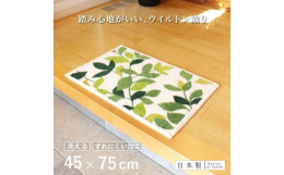 ナチュラルで爽やかな植物柄を大胆に表現した日本製ウィルトン織りの洗える玄関マット「リーフグリーン」季節やインテリアを選ばず、長くお使いいただける定番のデザインです。玄関は、人を迎える最初の場所です。爽