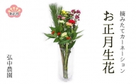 摘みたてカーネーション 生花の迎春花束 生け花セット【お正月飾り】 j8-18