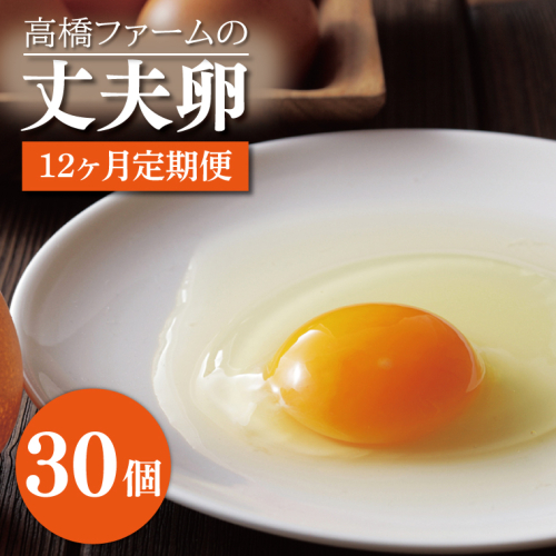 AQ013　【12ヶ月定期便】高橋ファームの丈夫卵30個入り 1213851 - 栃木県益子町