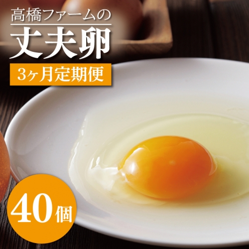 AQ014　【3ヶ月定期便】高橋ファームの丈夫卵40個入り 1213853 - 栃木県益子町