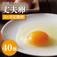 AQ015　【6ヶ月定期便】高橋ファームの丈夫卵40個入り