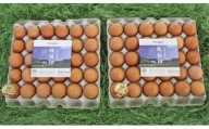 黒富士農場の放牧卵たっぷり60個セット