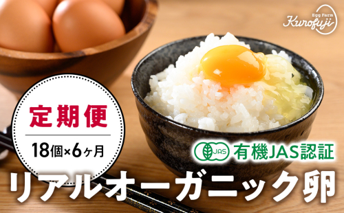 リアルオーガニック卵18個×6ヶ月　有機JAS　オーガニック　人気　おすすめ　国産　贈答　ギフト　お取り寄せ　卵　たまご　タマゴ　玉子　鶏卵　自然卵　放牧卵　平飼い　新鮮　たまごかけご飯 121436 - 山梨県甲斐市