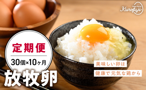放牧卵30個×10ヶ月　人気　おすすめ　国産　贈答　ギフト　お取り寄せ　卵　たまご　タマゴ　玉子　鶏卵　自然卵　放牧卵　平飼い　新鮮　たまごかけご飯 121437 - 山梨県甲斐市