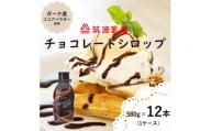 (G663)【大容量】チョコレートシロップ５８０ｇ×１２本（チョコレートソース）　チョコ　チョコレート　チョコレートシロップ　チョコレートソース　アイス　アイスクリーム　大容量