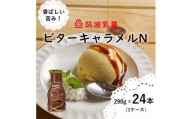 (G664)【大容量】ビターキャラメル　N　２９０ｇ×２４本　ビター　ビターキャラメル　アイス　アイスクリーム　大容量