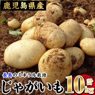 長島のミネラル栽培じゃがいも(計10kg)[エグチベジフル(株)]eguchi-1215