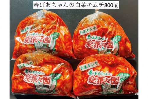 春ばあちゃんの白菜キムチ800g【A-815】 1214639 - 福岡県飯塚市