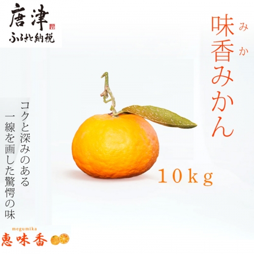 果皮も丸ごとガブッ！味香みかん 10kg 新種のミカン フルーツ 果物 デザート 柑橘 1215092 - 佐賀県唐津市