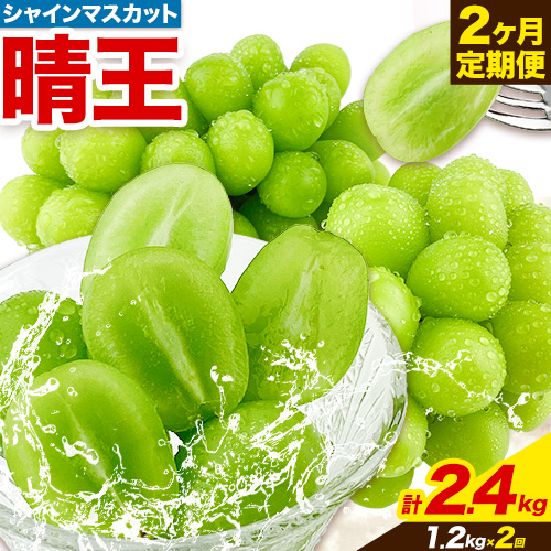 ぶどう 2ヶ月 定期便 [2026年先行予約] シャインマスカット 晴王 約1.2kg 岡山県産《9月上旬-1０月末頃出荷(土日祝除く)》 ハレノフルーツ マスカット 送料無料 岡山県 浅口市 フルーツ 果物 贈り物 ギフト 国産 岡山県産 くだもの【配送不可地域あり】 1215205 - 岡山県浅口市