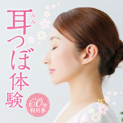 耳つぼ体験 60分 利用券【１名様分】リラクゼーション  健康 マッサージ 癒しプライベートサロン チケット　H178-008 1215280 - 愛知県碧南市