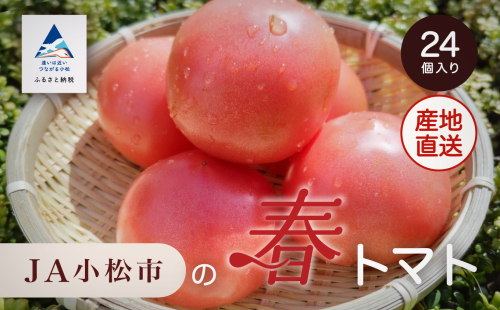 JA小松市の春トマト ( 24個 ) 010010 12155 - 石川県小松市