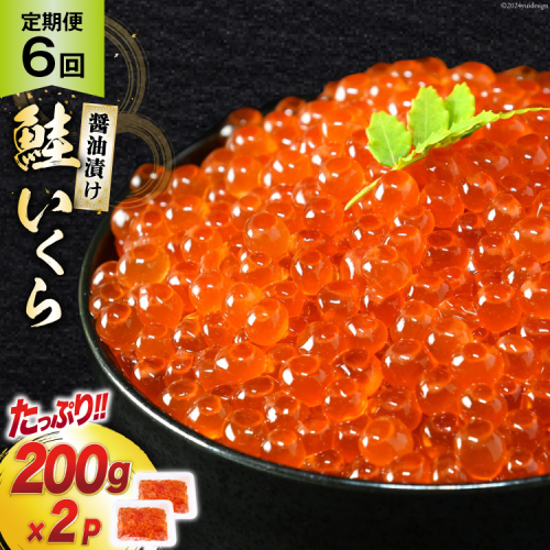 定期便 《6ヶ月連続お届け》鮭 いくら 醤油漬け (200g×2p)×6回 [宮城東洋 宮城県 気仙沼市 20564502] 魚介 イクラ さけ サケ 鮭 冷凍 小分け 醤油 鮭卵 鮭いくら 1215748 - 宮城県気仙沼市