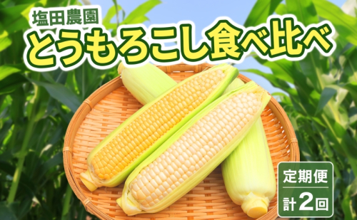 定期便 全2回 北海道産 朝採りとうもろこし 2種 食べ比べ 8月・9月 計2回お届け 恵味 めぐみ ゴールド ピュアホワイト トウモロコシ 先行受付 夏 野菜 新鮮 産地直送 塩田農園 送料無料 北海道 洞爺湖町  121646 - 北海道洞爺湖町