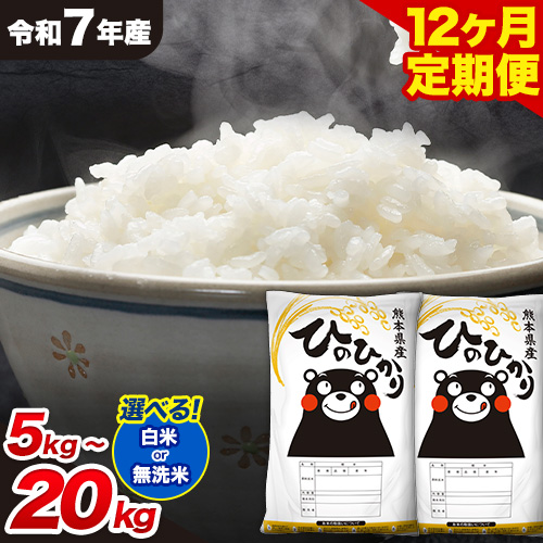 【12ヶ月定期便】選べる 白米 無洗米 ひのひかり 5kg 10kg 15kg 20kg 《お申込み翌月から出荷》白米 精米 無洗米 熊本県産(南阿蘇村産含む) 単一原料米 南阿蘇村 ひのひかり 送料無料 熊本県 むせんまい 米 国産 1217376 - 熊本県南阿蘇村