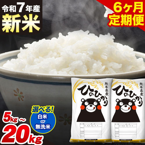 新米 令和7年産【6ヶ月定期便】 選べる 白米 無洗米 ひのひかり 5kg 10kg 15kg 20kg《1月から出荷開始》熊本県産 単一原料米 南阿蘇村 ひのひかり 送料無料 熊本県 米 コメ 国産
 1217384 - 熊本県南阿蘇村