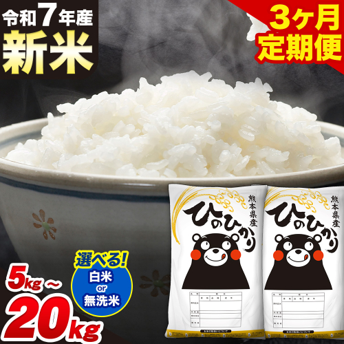 新米 令和7年産【3ヶ月定期便】選べる 白米 無洗米 ひのひかり 5kg 10kg 15kg 20kg 《1月から出荷開始》熊本県産 単一原料米 南阿蘇村 ひのひかり 送料無料 熊本県 米 コメ こめ 国産 1217385 - 熊本県南阿蘇村